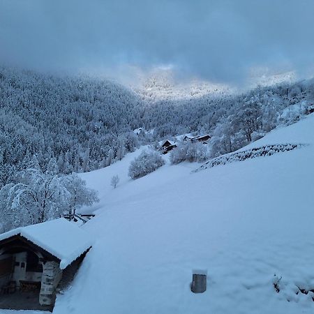Gruberhof Gereuth Brixen Daire Dış mekan fotoğraf